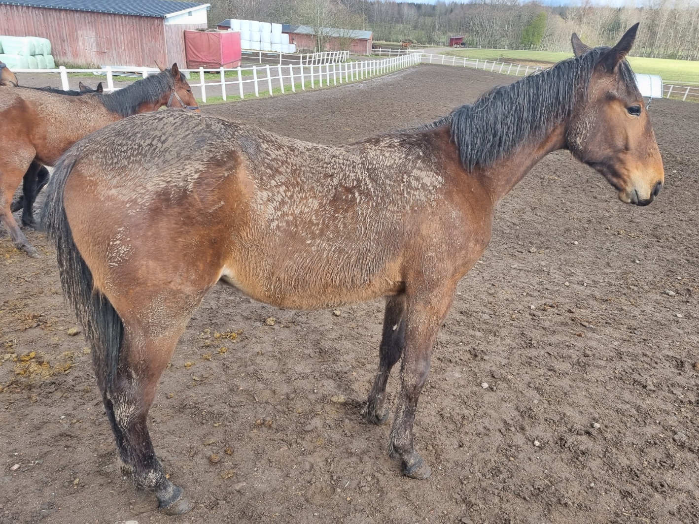 Bankomat-Helvin-