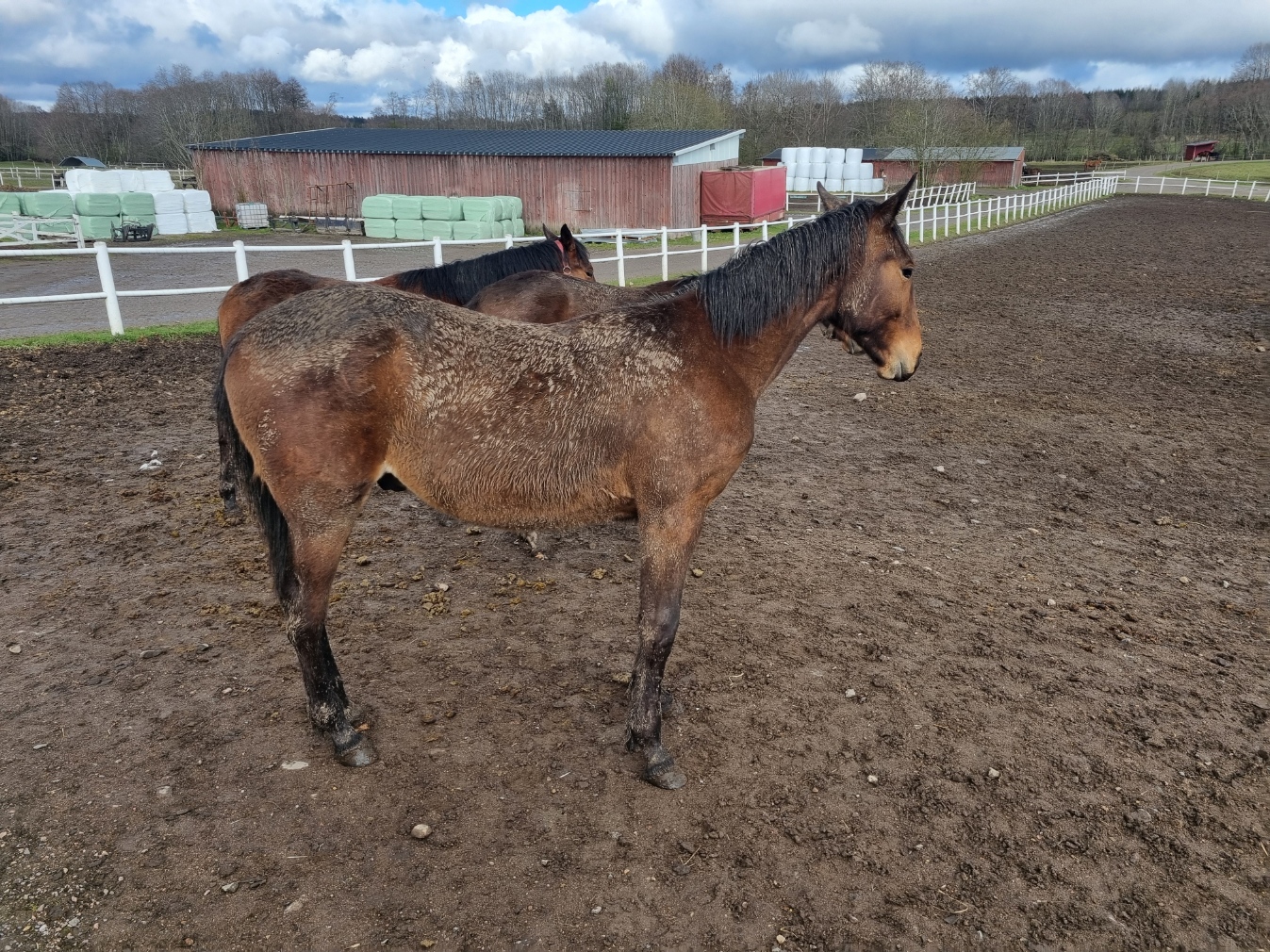 Bankomat-Helvin-